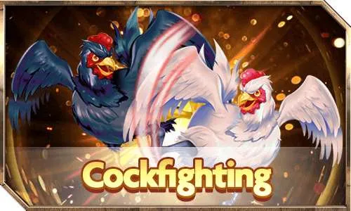 sabong